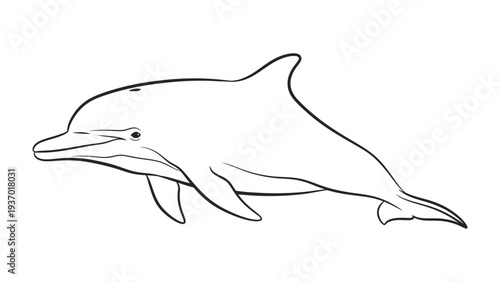 Dolphin Silhouette: A sleek illustration of a dolphin gracefully swimming through the ocean, capturing its elegance and agility.