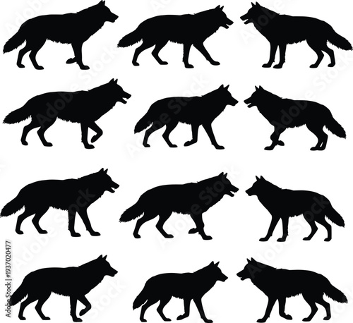 Collection of wolf silhouettes showing walking and standing poses, animal posture variations for wildlife design, animation, and illustration reference