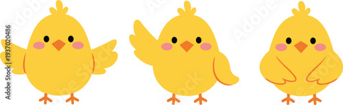 Set of three cute yellow baby chick vector illustrations with different poses and expressions isolated on white background for Easter or farm theme.