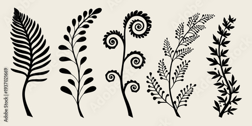 Stylized botanical illustration featuring various fern and leaf designs