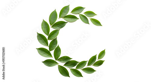 Captivating Letter C composed entirely of vibrant green leaves, meticulously arranged on a pristine white background, embodying organic natural design and botanical elegance