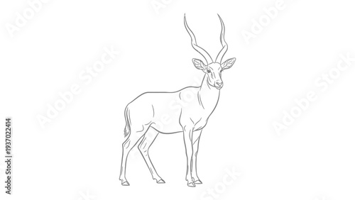 Antelope Sketch: A detailed line drawing of an antelope, highlighting its majestic horns and elegant form, perfect for projects related to wildlife or artistic design.
