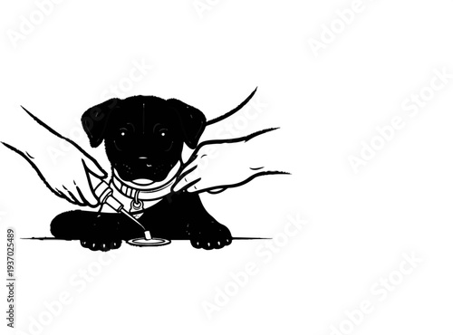 Veterinarian examining a black puppy with a stethoscope