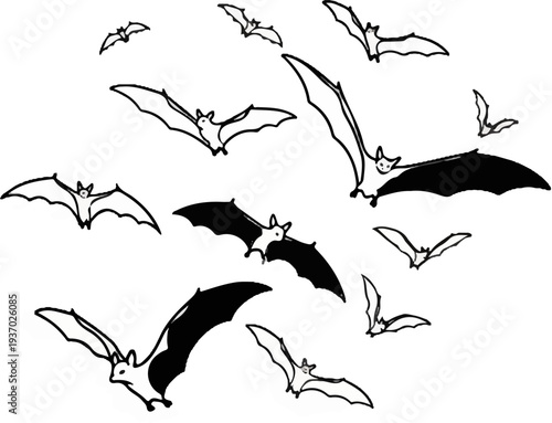 A flock of bats in flight against a white background
