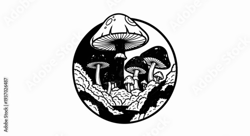 A circular emblem showcases a fantasy forest of diverse mushrooms and textured ground