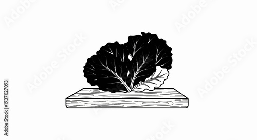 Black and white illustration of a bunch of dark green leaves on a wooden surface