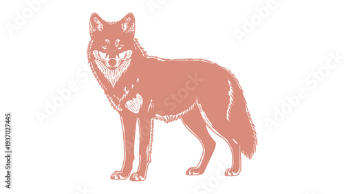 Coyote: A stylized depiction of a lone coyote standing confidently, with a keen gaze and poised stance. 