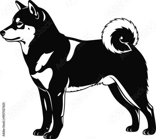 Shiba Inu Dog Silhouette with Curled Tail Japanese Breed Black and White Vector Illustration