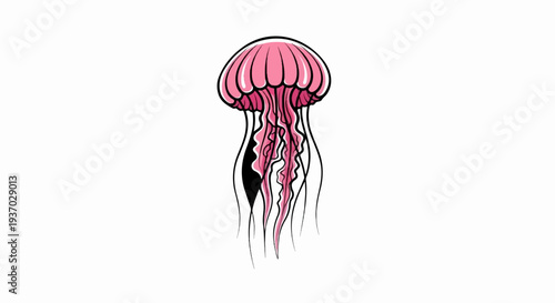 Pink jellyfish with long flowing tentacles drifts serenely in white space
