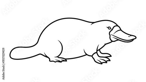 Platypus Illustration: A detailed line illustration showcases a unique platypus, emphasizing its distinctive bill, webbed feet, and streamlined body