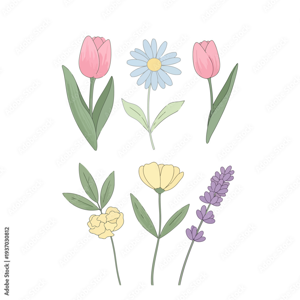 Obraz premium A beautiful vector illustration featuring a diverse collection of colorful blooming spring flowers and botanical elements.