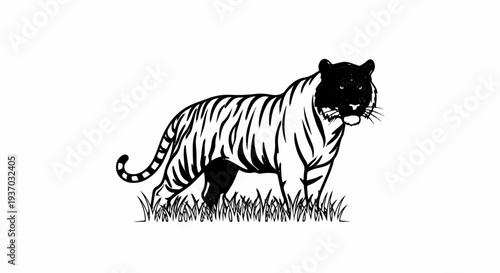 Stylized black and white drawing of a tiger standing in tall grass