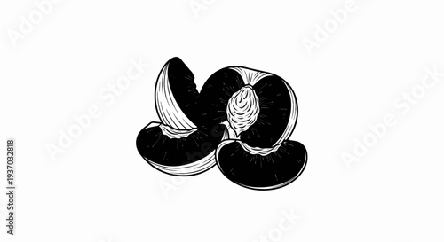 Hand-drawn sketch of a halved plum with two slices against a white background