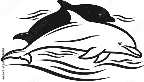 Two dolphins, one dark, one light, leaping through stylized waves