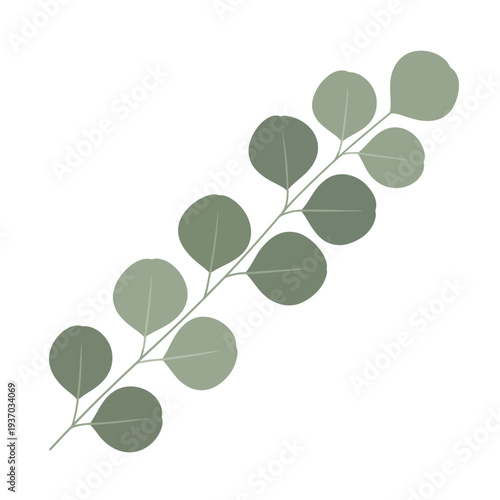 Simple minimalist vector graphic design of a sage green eucalyptus branch with rounded leaves