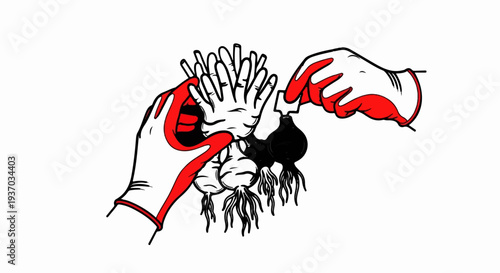 Hands in red gloves harvesting roots and greens