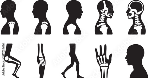 Black and white of human body parts and skeletal structure