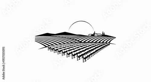 Rolling hills with vineyards and distant farmhouses under a curved horizon