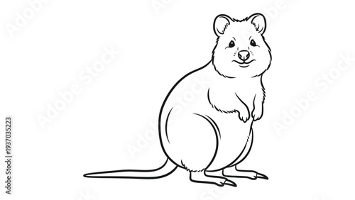 Quokka Sketch: Simple sketch of a cheerful Quokka, capturing the essence of this smiling marsupial in a clean, minimalist style.