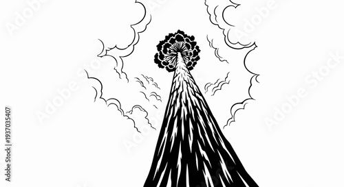 Stylized drawing looking up at a tall, conical tree with textured bark and a bushy top