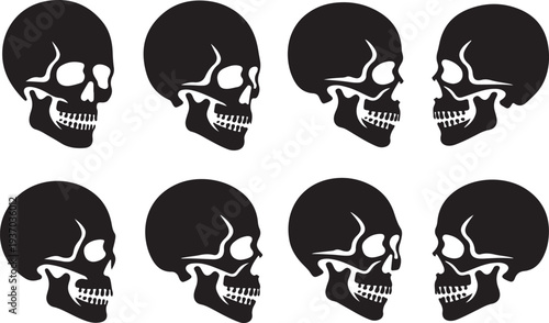 Eight black and white skull in different angles and expressions profile side view