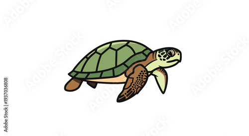 Vector sea turtle illustration