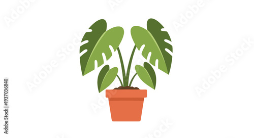 Vector monstera plant in pot icon