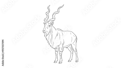 Markhor: A majestic markhor with impressive spiral horns stands confidently. This artful illustration beautifully captures the goat-antelope.
