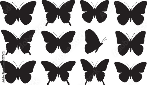 Twelve black butterfly silhouettes arranged in a grid pattern