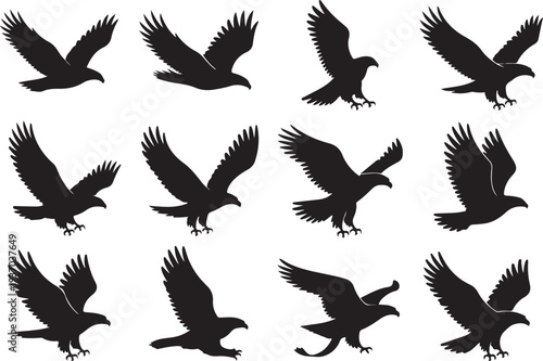 Twelve black eagle silhouettes in various flying positions against a white background