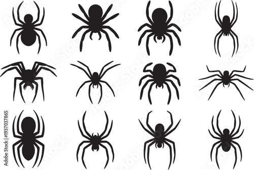 Twelve black spider silhouettes in various poses on white background insect arachnid