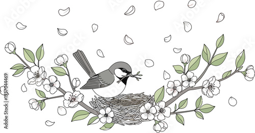Charming vector illustration depicts a small gray bird diligently building its nest with twigs amidst delicate falling pink cherry blossom petals and leaves.