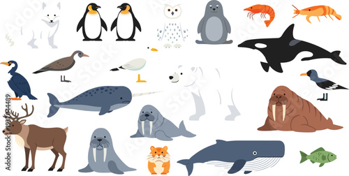 Arctic and marine animals vector set with polar bear, penguin, walrus, seal, whale, narwhal, orca and seabirds, cute wildlife illustration collection for ocean nature education and kids design