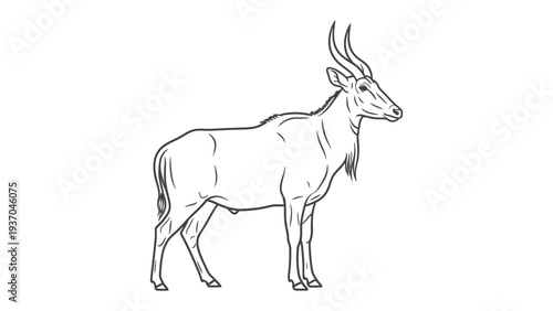 Elegant Antelope Silhouette: A striking outline of a regal antelope, showcasing its graceful form and impressive horns, a symbol of untamed wilderness and the beauty of the animal kingdom.