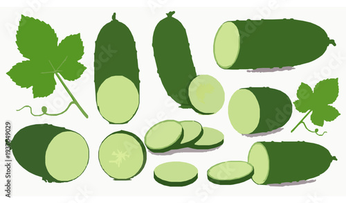 Fresh cucumber vector illustration with half cut slices and green leaves for healthy food design