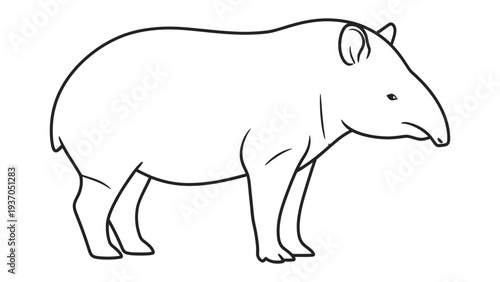 Tapir illustration : A meticulously crafted illustration of a Tapir, capturing its distinctive features and endearing presence.