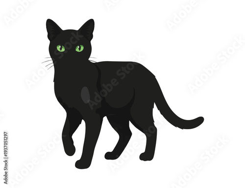 Elegant black cat standing with bright green eyes vector illustration

