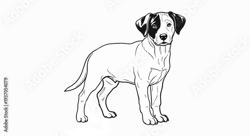 A black and white sketch of a mixed-breed dog standing alertly