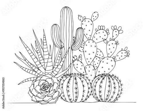 Desert plant garden line drawing featuring various cacti and succulents like prickly pear and aloe vera, perfect for adult coloring books, naturethemed crafts, and botanical decor projects