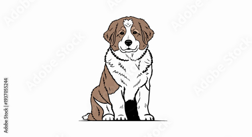 A seated, fluffy, brown and white dog with a friendly face