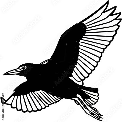 Stylized illustration of a black bird with white-lined wings in flight