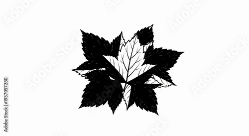 Black and white illustration of alternating leaves in a circular pattern