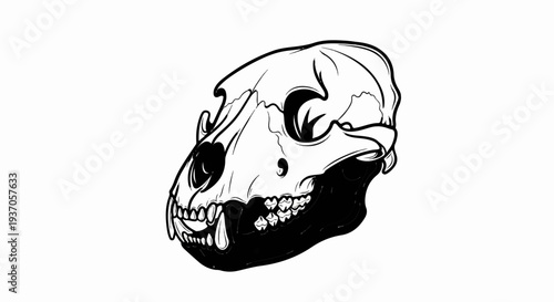 Detailed black and white illustration of a fearsome animal skull with sharp teeth