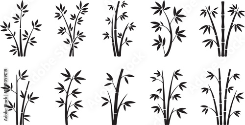 Ten black and white bamboo plant in various styles and arrangements plants nature