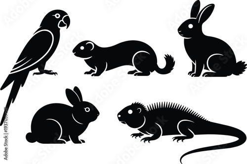 Small animals silhouette set parrot ferret rabbit iguana wildlife pet animal vector illustration black silhouette collection