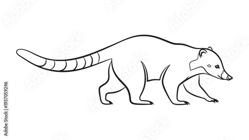 Coati Illustration: A simple yet elegant illustration depicts a coati, showcasing the animal's distinctive features in a clean, uncluttered style.
