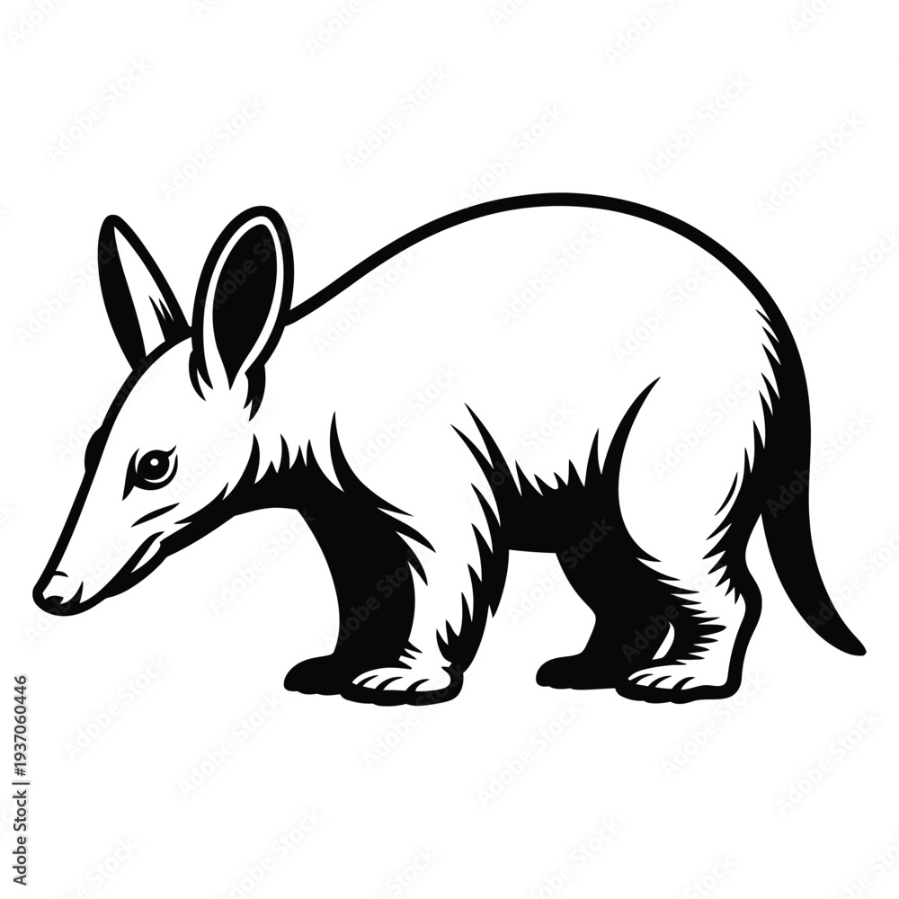 Fototapeta premium aardvark