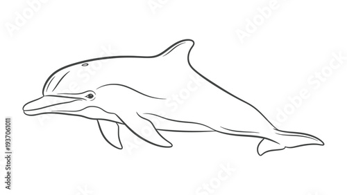 Oceanic Grace: The image portrays the sleek elegance of a dolphin, gracefully gliding through the water. A symbol of intelligence, freedom, and marine beauty.