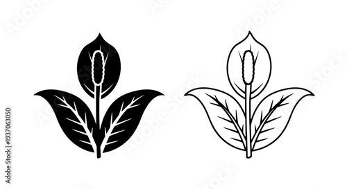 Calla Lily Flower Icon, Plant Symbol, Floral Graphic Vector Art