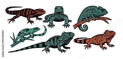 Collection of Colorful Lizard Illustrations in Various Poses